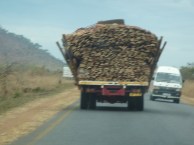 Over loaded lumber truck